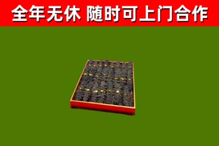 清河回收海参